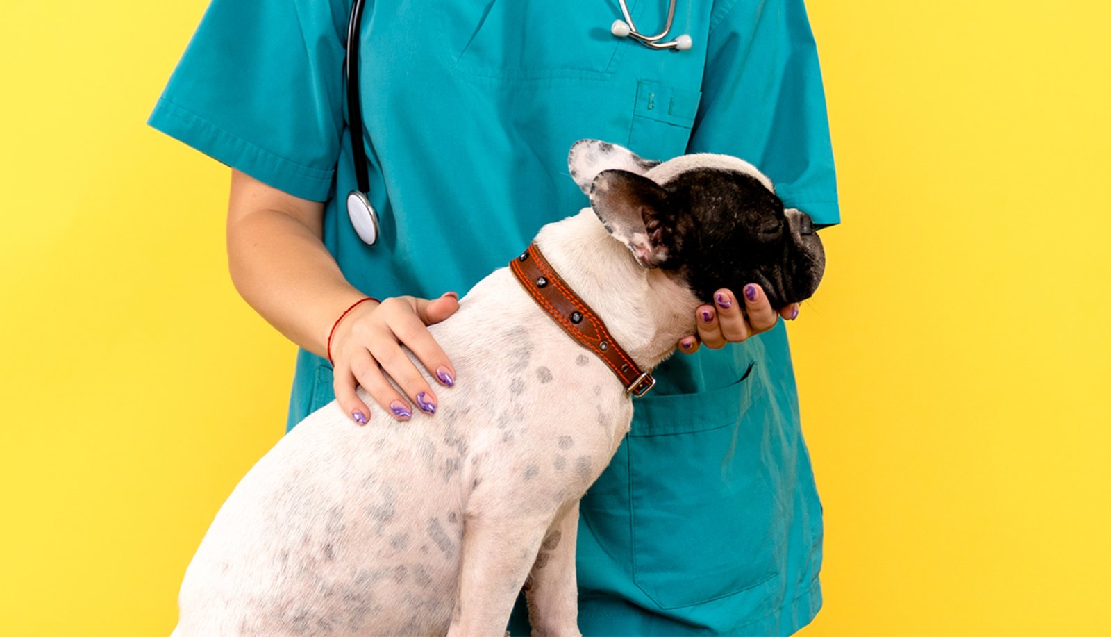 https://elwarpharma.com/wp-content/uploads/2025/05/elwar-merceologici-1920x1100-pet-1.jpg